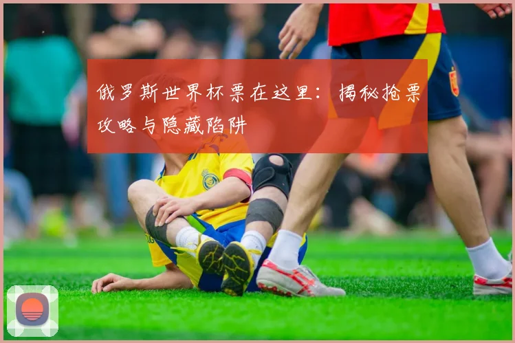 俄罗斯世界杯票在这里:揭秘抢票攻略与隐藏陷阱