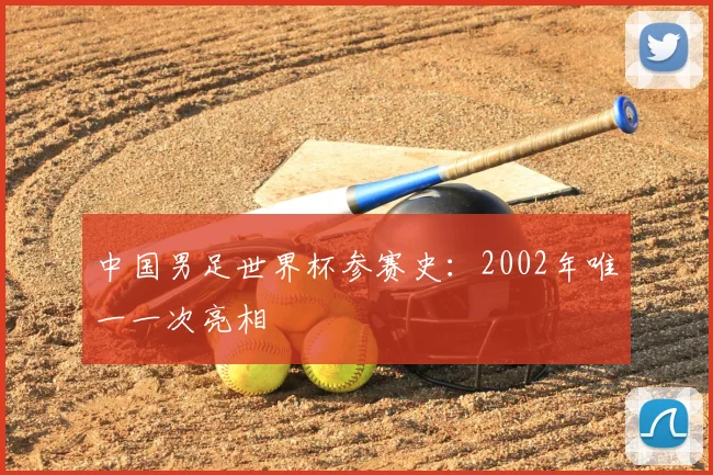 中国男足世界杯参赛史：2002年唯一一次亮相