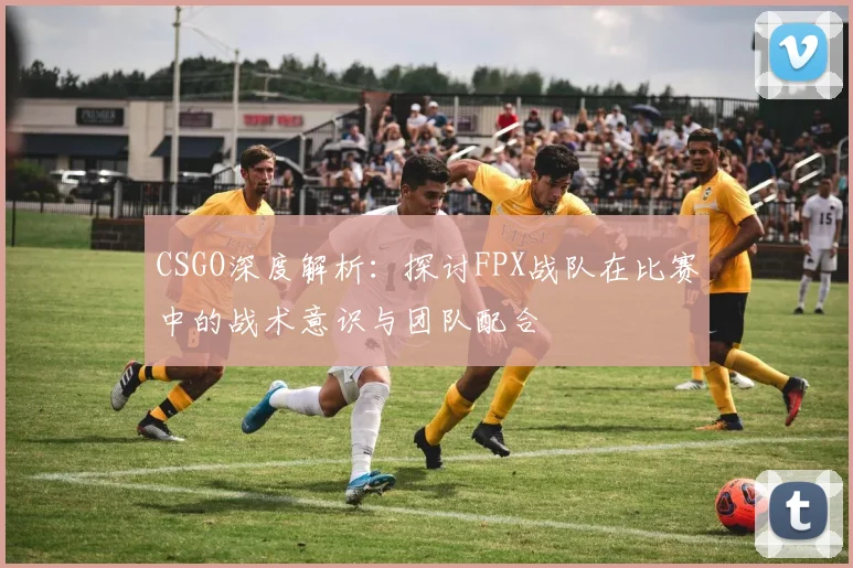 CSGO深度解析：探讨FPX战队在比赛中的战术意识与团队配合