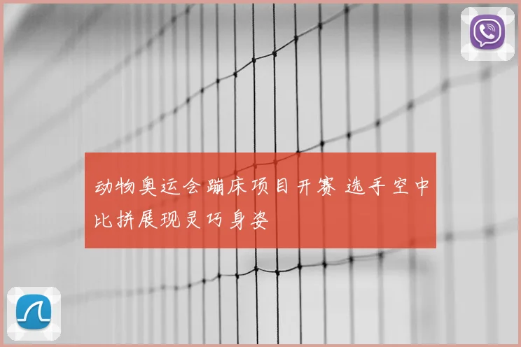 动物奥运会蹦床项目开赛 选手空中比拼展现灵巧身姿