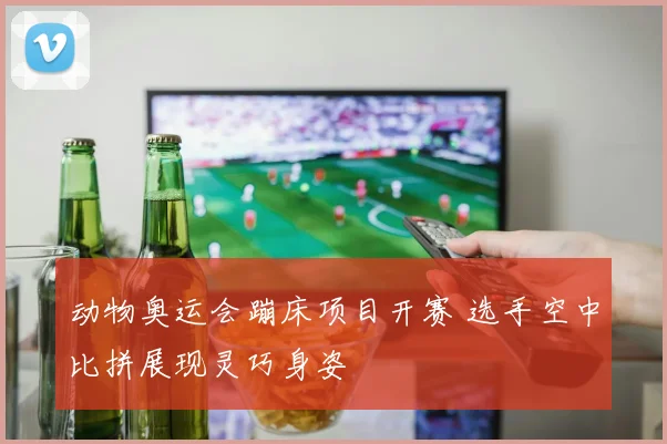 动物奥运会蹦床项目开赛 选手空中比拼展现灵巧身姿