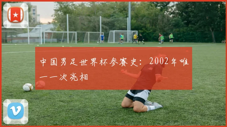 中国男足世界杯参赛史:2002年唯一一次亮相