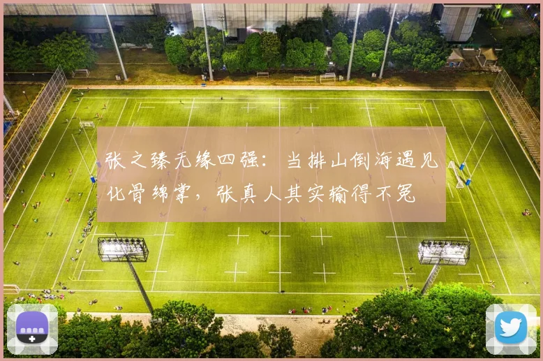 张之臻无缘四强：当排山倒海遇见化骨绵掌，张真人其实输得不冤
