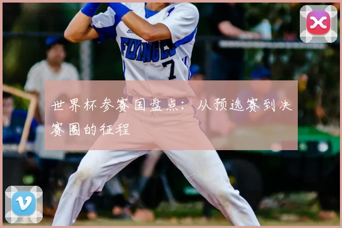 世界杯参赛国盘点:从预选赛到决赛圈的征程