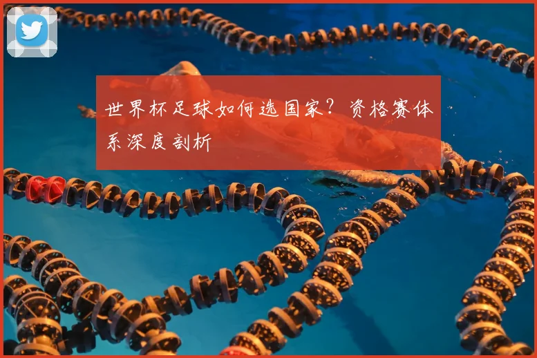 世界杯足球如何选国家?资格赛体系深度剖析