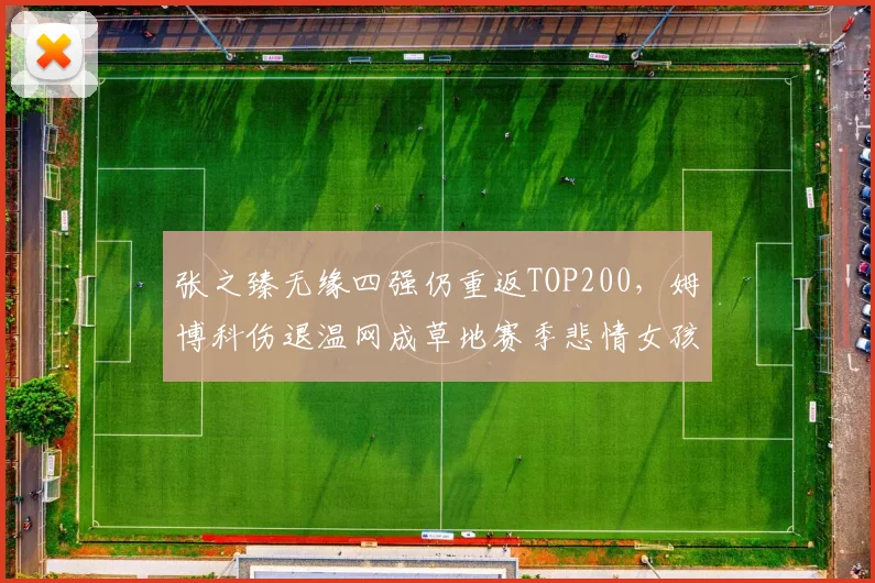 张之臻无缘四强仍重返TOP200，姆博科伤退温网成草地赛季悲情女孩