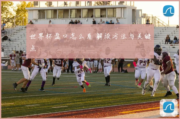 世界杯盘口怎么看 解读方法与关键点