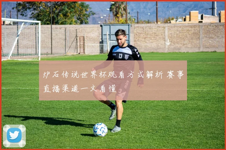 炉石传说世界杯观看方式解析 赛事直播渠道一文看懂