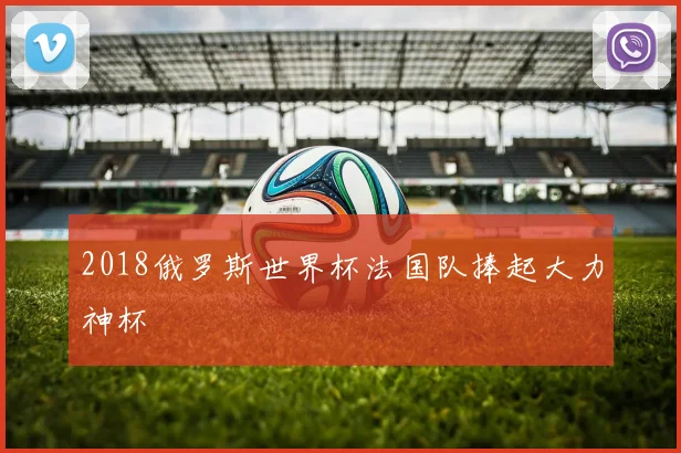 2018俄罗斯世界杯法国队捧起大力神杯