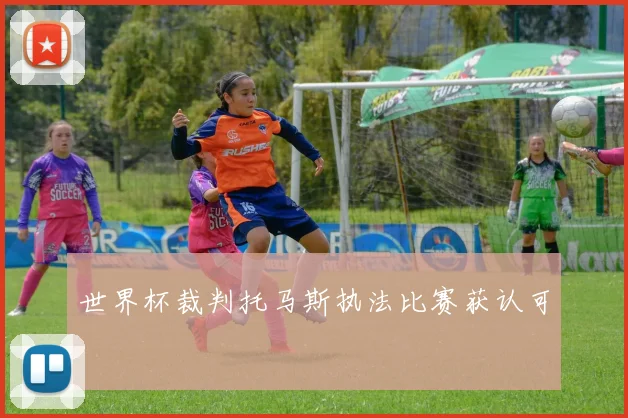 世界杯裁判托马斯执法比赛获认可